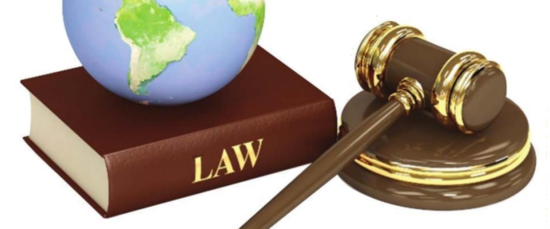 What are international environmental laws?